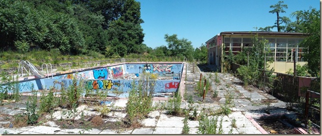 piscine bois le roi